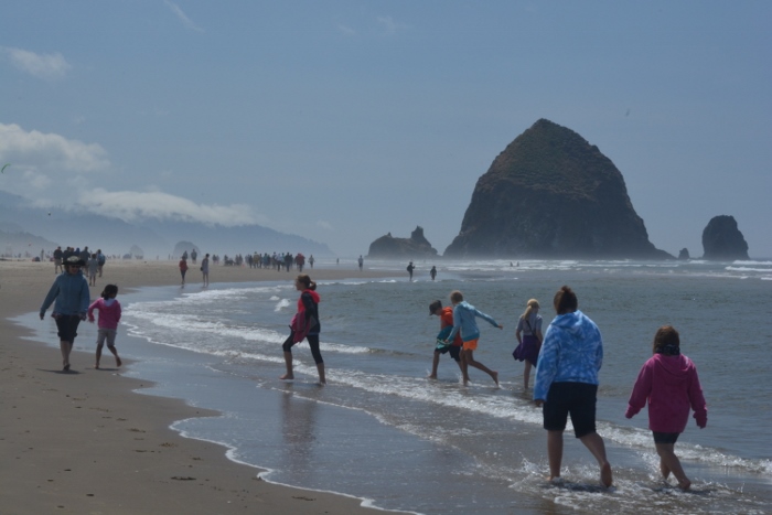 people walking the beach